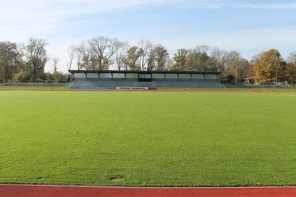 ARENA ARENA