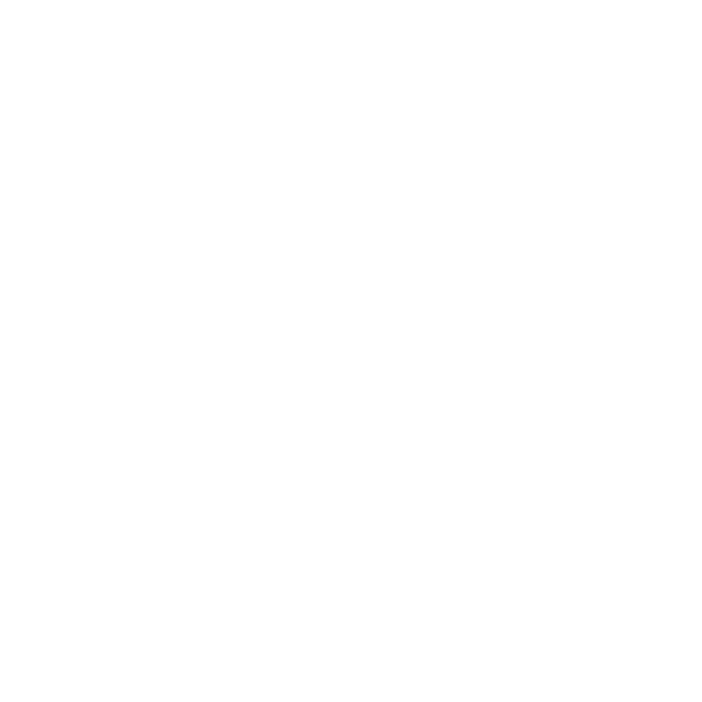 uniulm logo